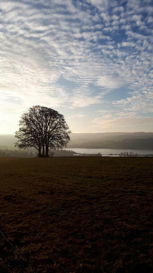 Le Charme Des 2 Lacs Malbuisson Exteriör bild