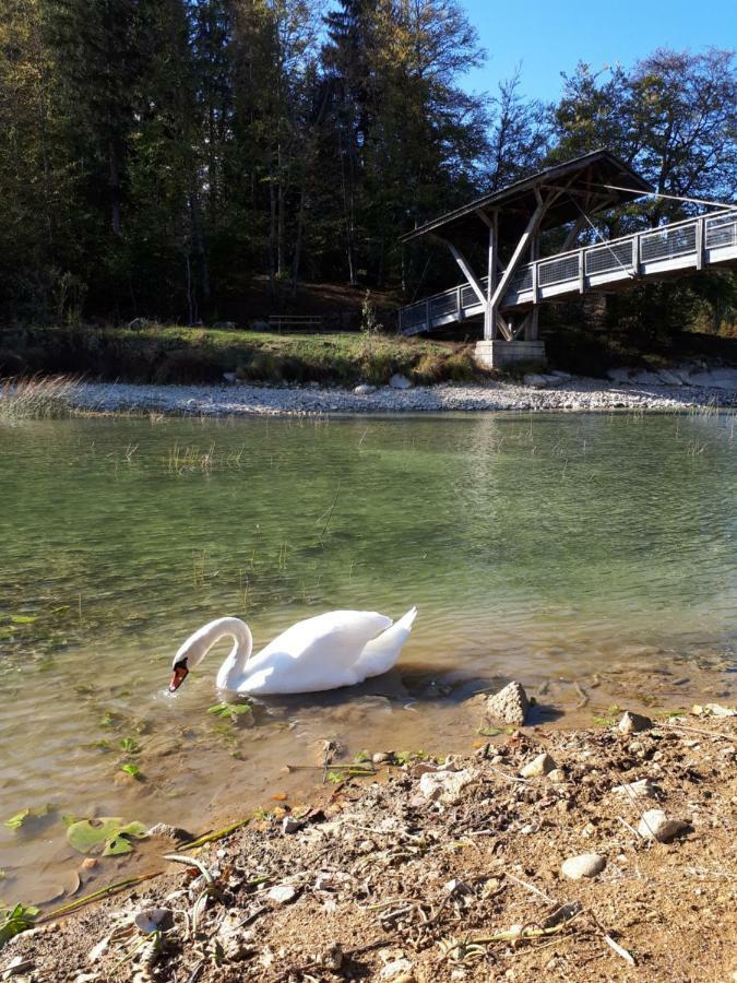 Le Charme Des 2 Lacs Malbuisson Exteriör bild